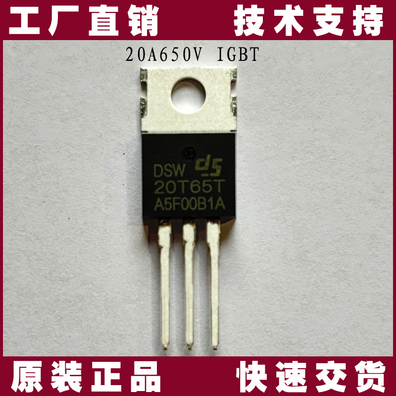 DSW20T65T-充電機-IGBT DSW20T65T-充電機-IGBT